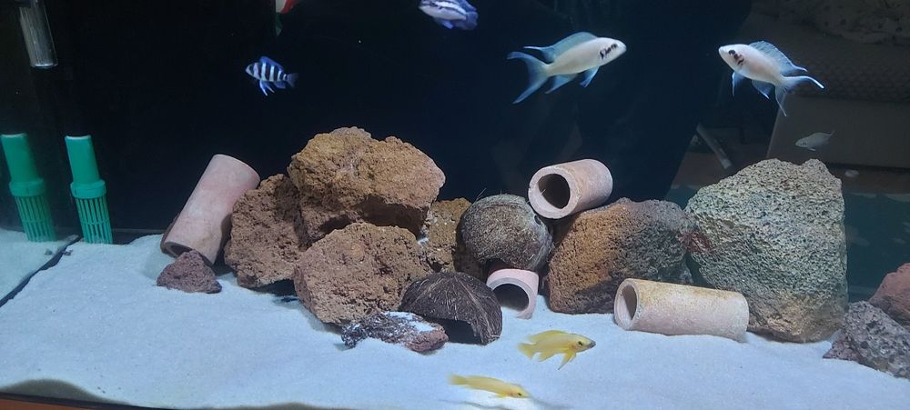 Акваріум 200л,повний комплект з резервним живленням