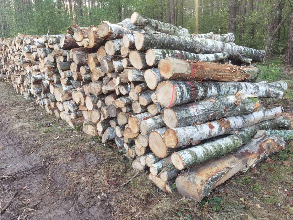 Drewno opałowe liściaste dąb buk brzoza suche
