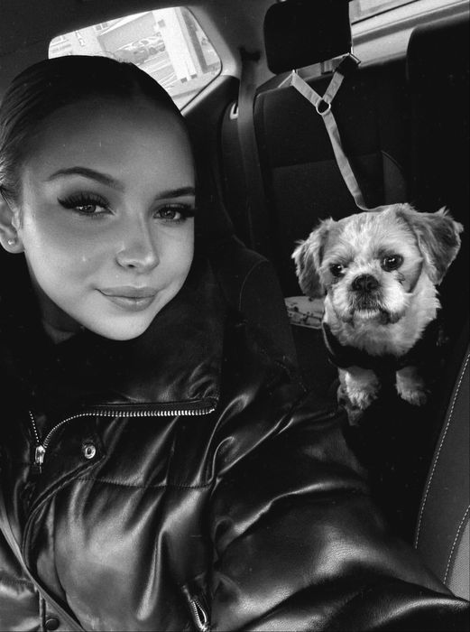‼️ ZAGINĄŁ PIES – SHIH TZU ‼️