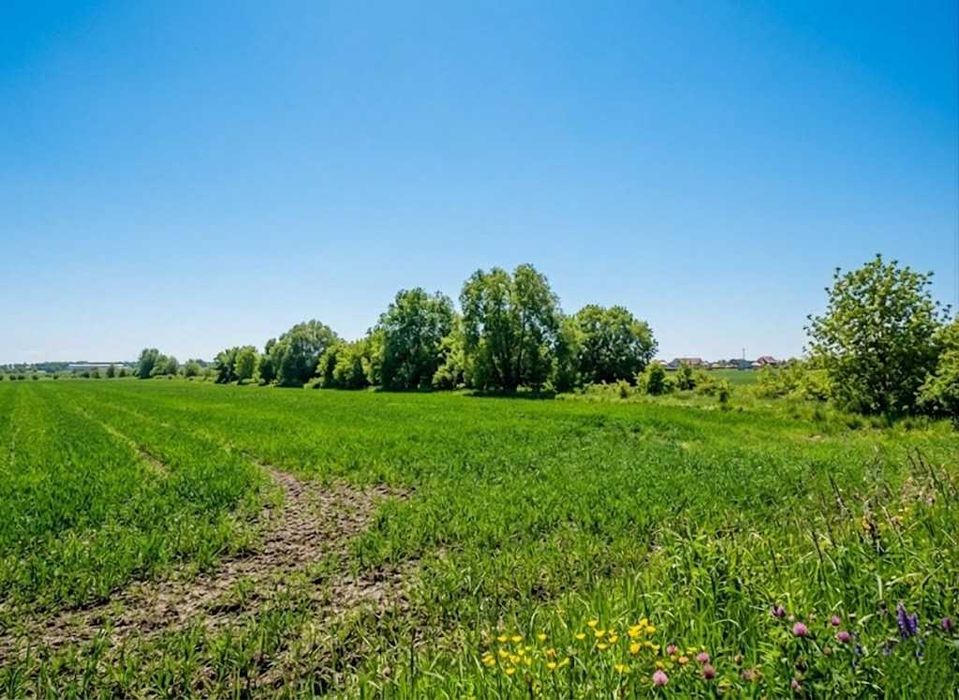 Продаж земельної ділянки 10 соток - ОСГ. Біля лісу. с.Оліївка. ID:747