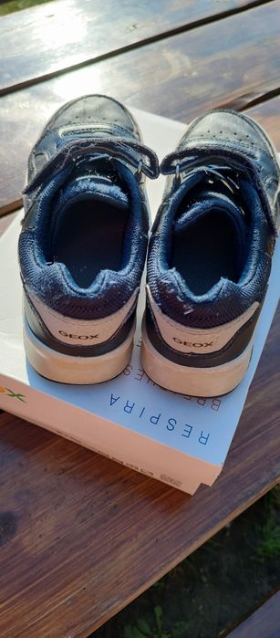 Buty chłopięce Geox na rzep 33