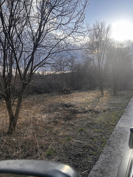 Wycinka drzew , koszenie trawy , prace ogrodnicze
