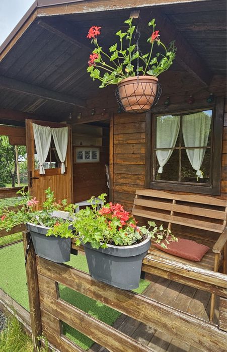 Działka rekreacyjna, ogródek działkowy ROD Puszcza Bukowa Szczecin - Widok 3