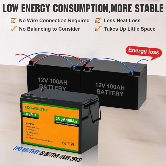 Акумулятор ECO-WORTHY LiFePO4 24 V 1000 Ah (2560Wh) BMS 3000+ циклів