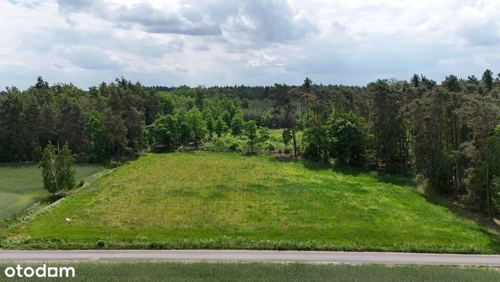 Wyjątkowa Działka przy lesie - Masanów