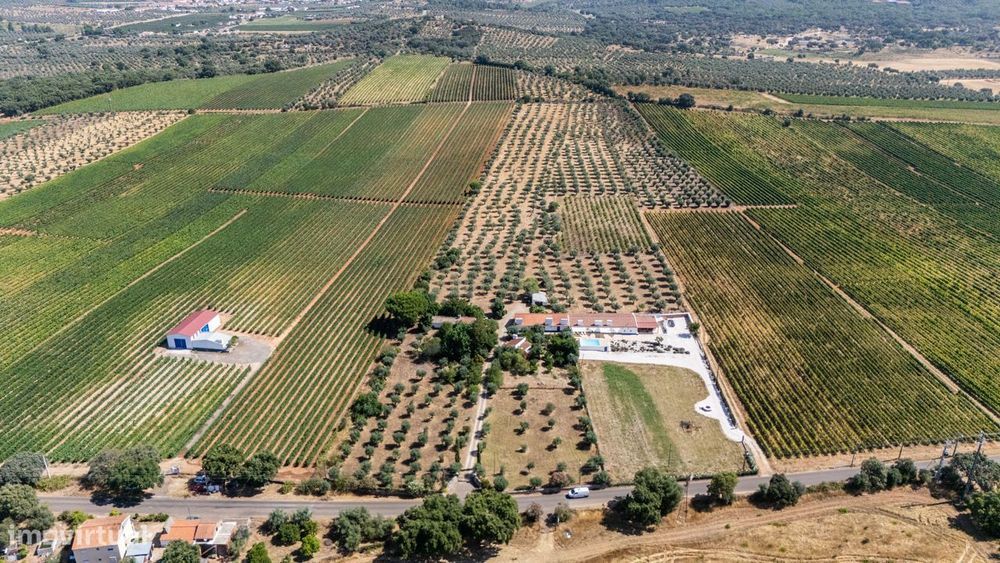 Quinta T3+3  com 4 HA em Borba – Natureza, Produção Agrícola e Confort