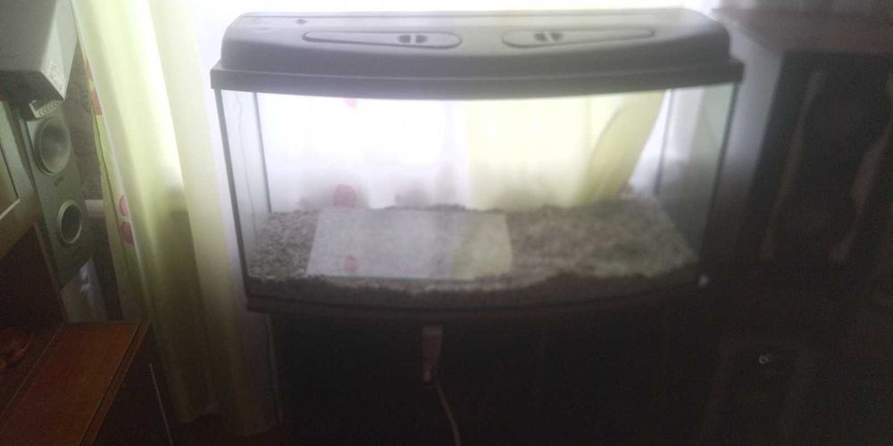 Аквариум с тумбой и крышкой 250 л