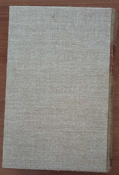 A Velhice do Padre do Padre Eterno, 1ª Edição (1885) Reencapada