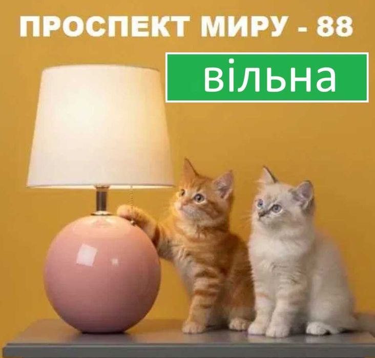 1 кімн вул. Проспект Миру 88 .Автовокзал -1 .ЖД вокзал ПРИКОРДОННА Академія