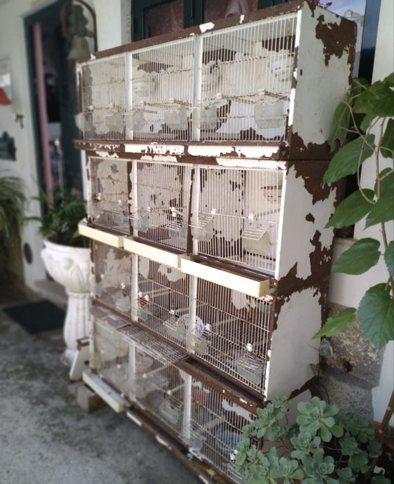 Conjunto de quatro gaiolões