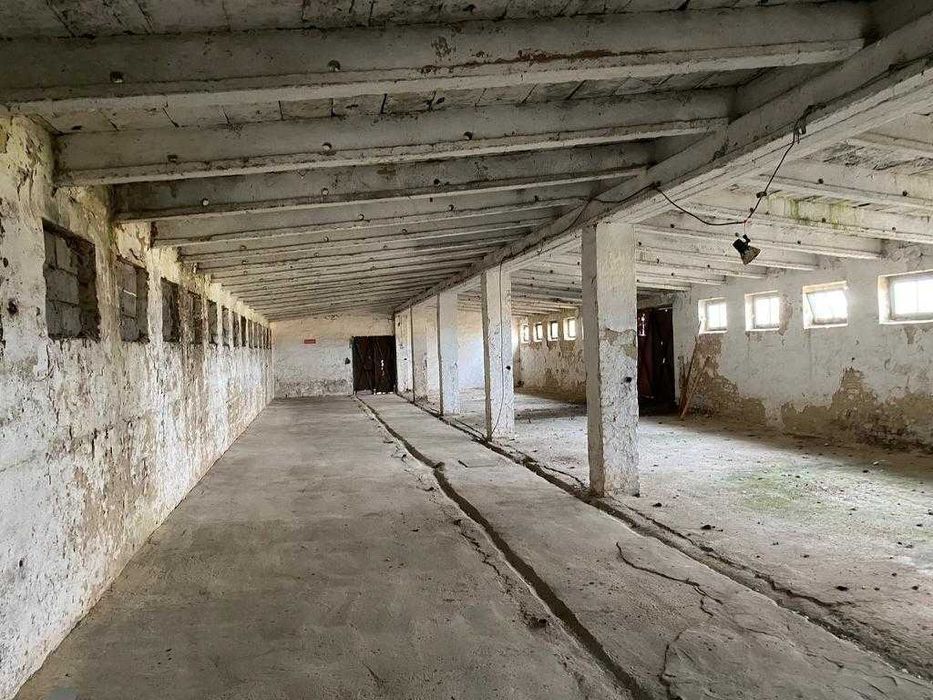 Magazyn, hala, budynek gospodarczy na wynajem