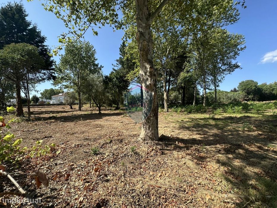 Terreno Urbano  Venda em Currelos, Papízios e Sobral,Carregal do Sal