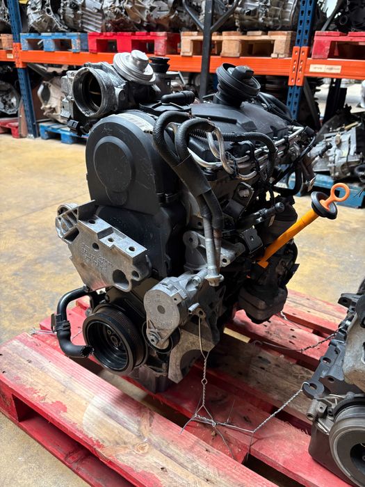Motor 1.9 Tdi 105 Cv Ref:BKC