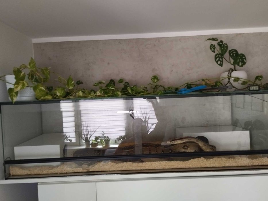 Sprzedam Terrarium