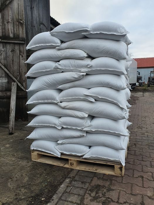 Fasola Pasza Ziarno Na Paszę Paszowe Nasiona Wysłodki Otręby Sojowa