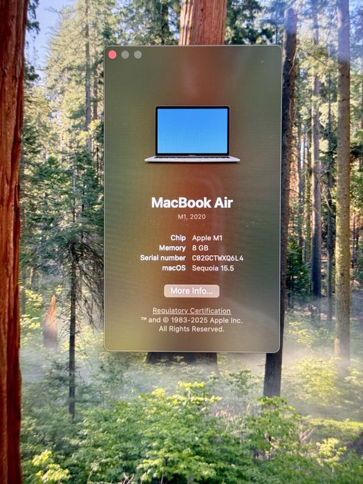 Macbook Air M1 (excelente)