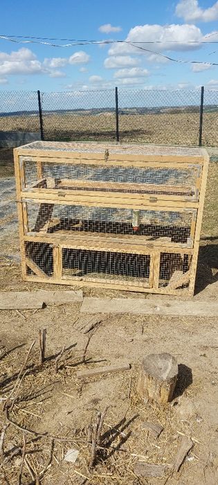 Klatka dla królika, świnki  morskiej