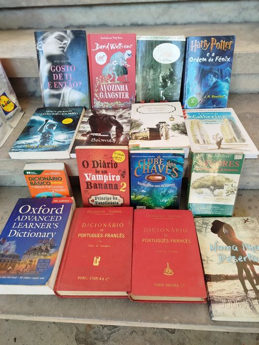 Lote de Livros Variados (Infanto-Juvenil, Dicionários, Enciclopédias e Ficção)