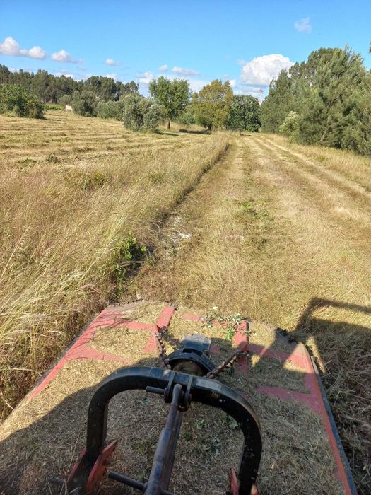 Prestação de serviços agrícolas
