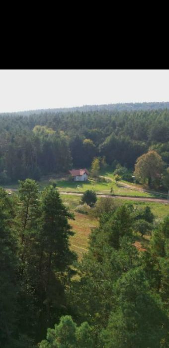 Domek willa na roztoczu ( Majówka już wynajęta)