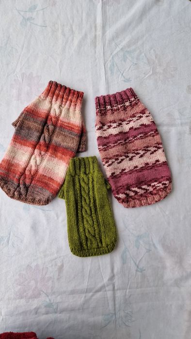 Одежда для собак.