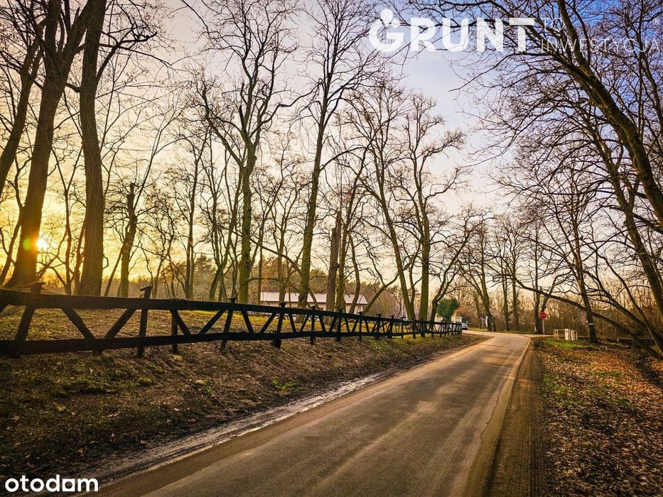 Twoje miejsce na ziemi: Spokój, natura i bliskość miasta - Widok 3
