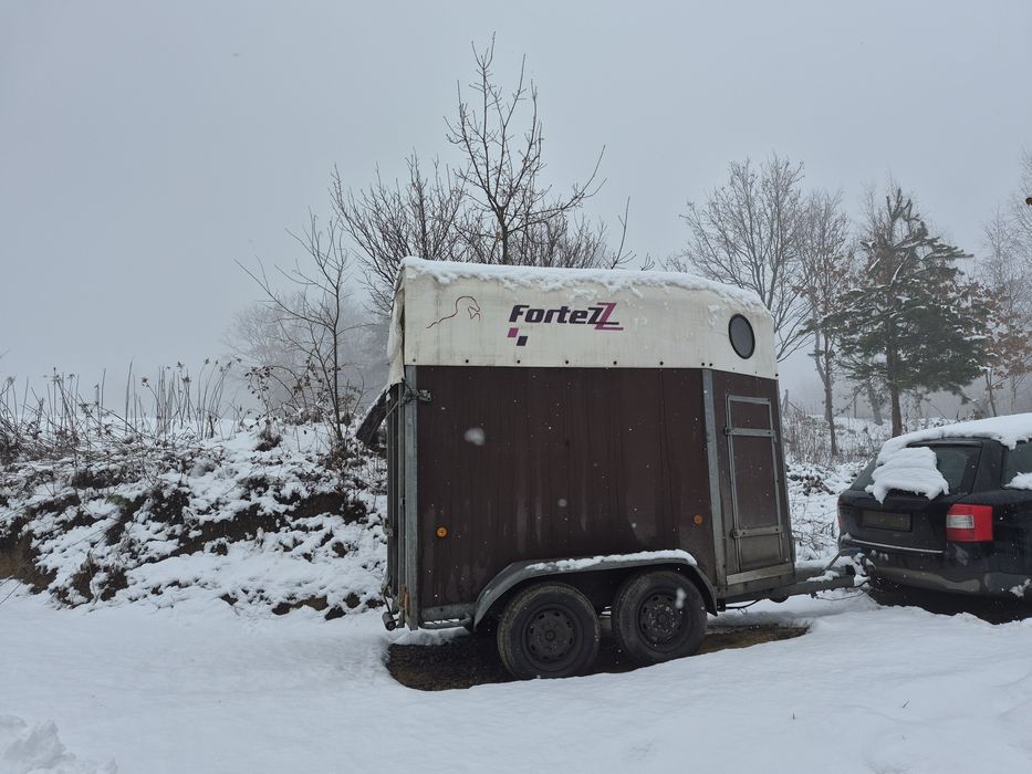 Przyczepa konna na kat. B wynajem
