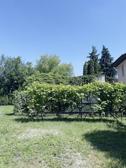 Dom – Brwinów - Widok 2