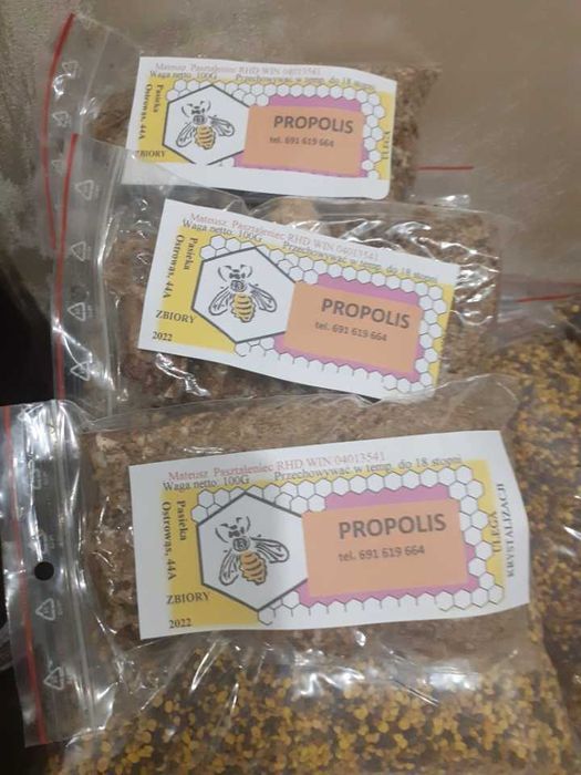 Propolis kit pszczeli