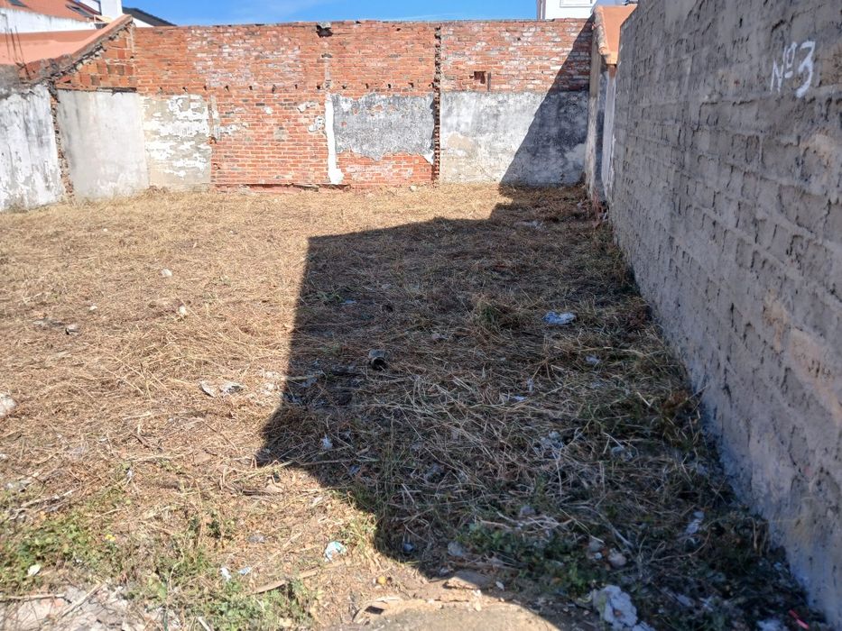 Limpeza de terrenos e manutenção jardins