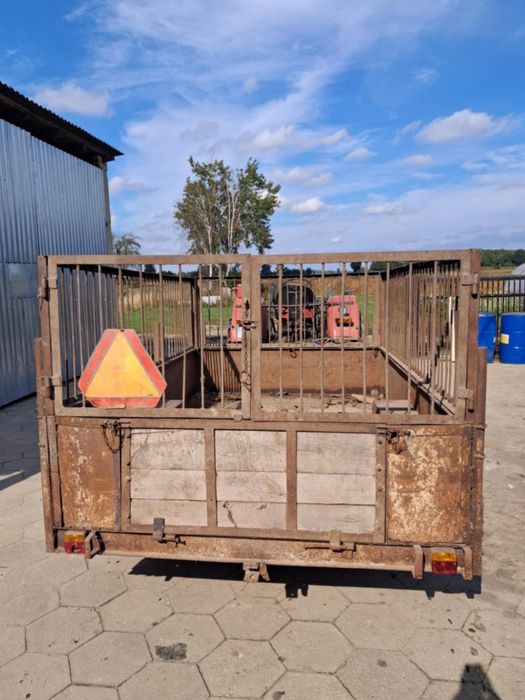 Przyczepa jednoosiowa do przewozu zwierząt