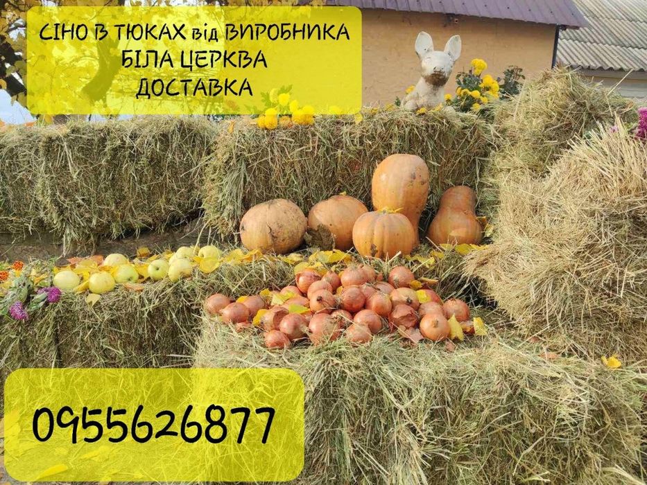 СІНО (Сено) СВІЖЕ 2025р.Лугове в тюках. Біла Церква!