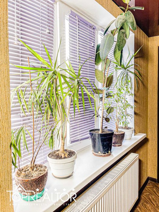 БЕЗ КОМІСІЇ! Продам будинок на Малій Данилівці