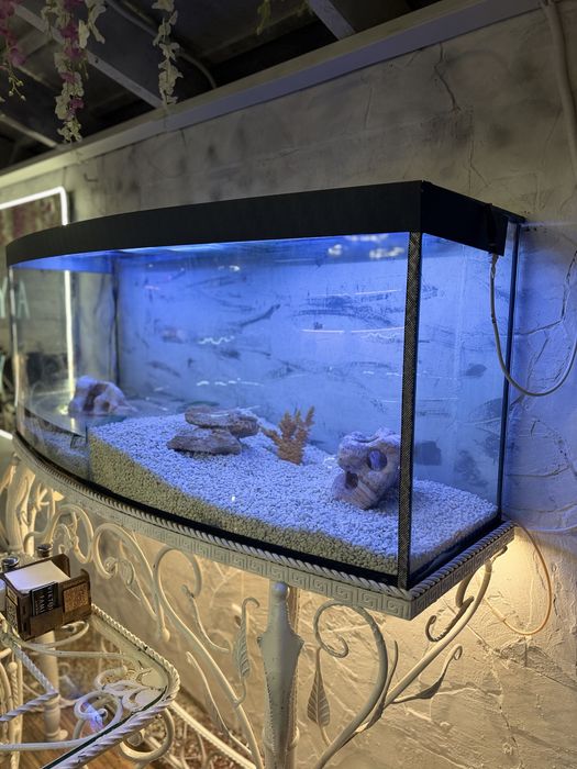 В продажі 2 шт акваріума