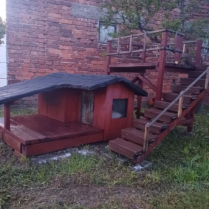 Buda dla psa z tarasem