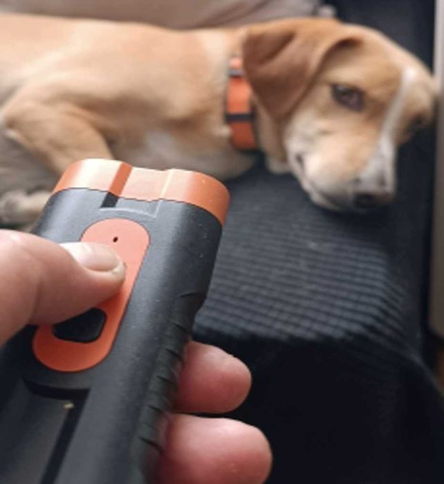 Двухлучевой ультразвуковой отпугиватель собак відлякувач (3 режима!)