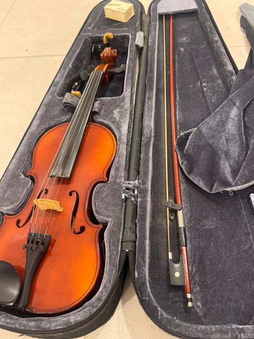 Violino staag usado