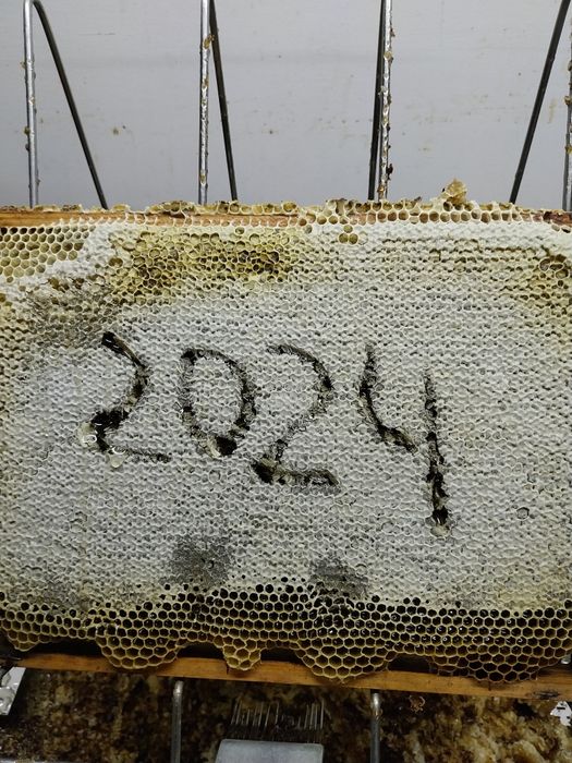 Sprzedam miód z własnej pasieki +GRATIS