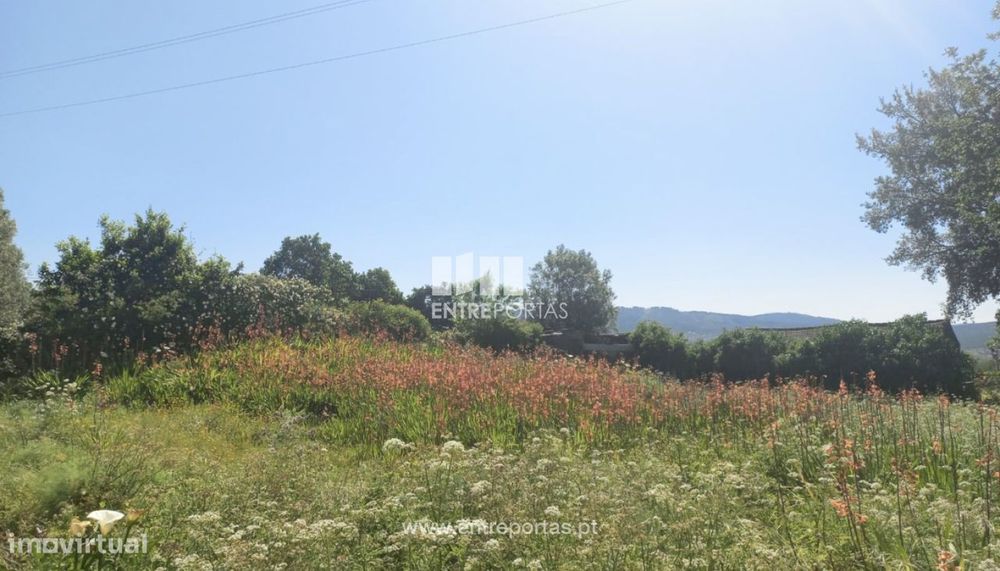 Venda de Terreno, Cardielos, Viana do Castelo