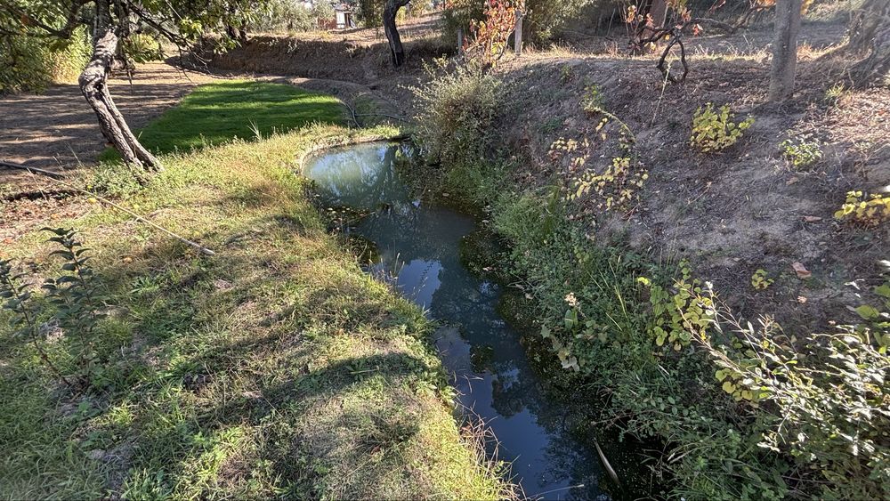 Terreno / Quinta no Freixial - Fundão