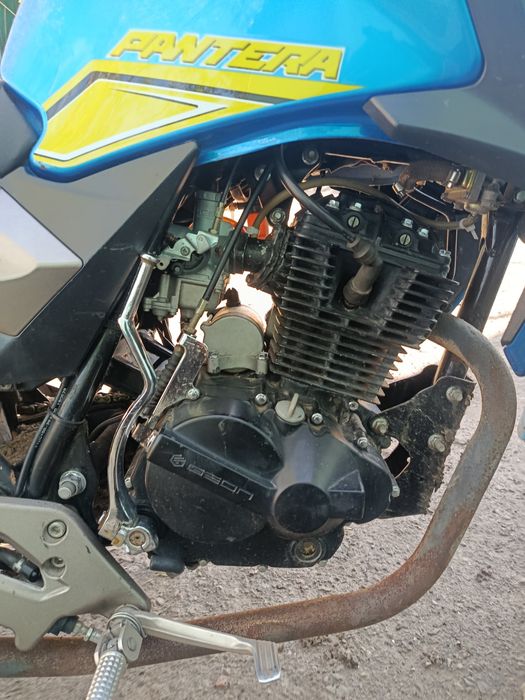 Geon pantera 200