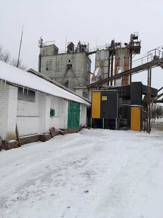 Продаж елеваторного комплексу ТОВ «ТАС АГРО ЦЕНТР» (с. Ольшаниця)