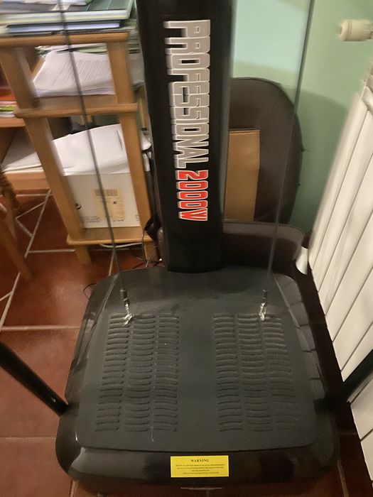Power Plate Professional 2000W, Byeast International