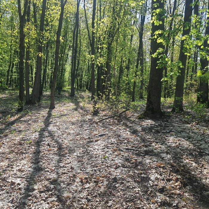 Земельный участок Цена 500$ за сотку