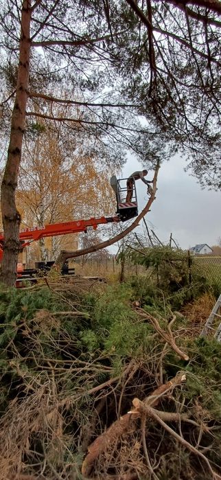 Podnosnik 20m, wycinka drzew, czyszczenie rynien, dachu. Mazowieckie.