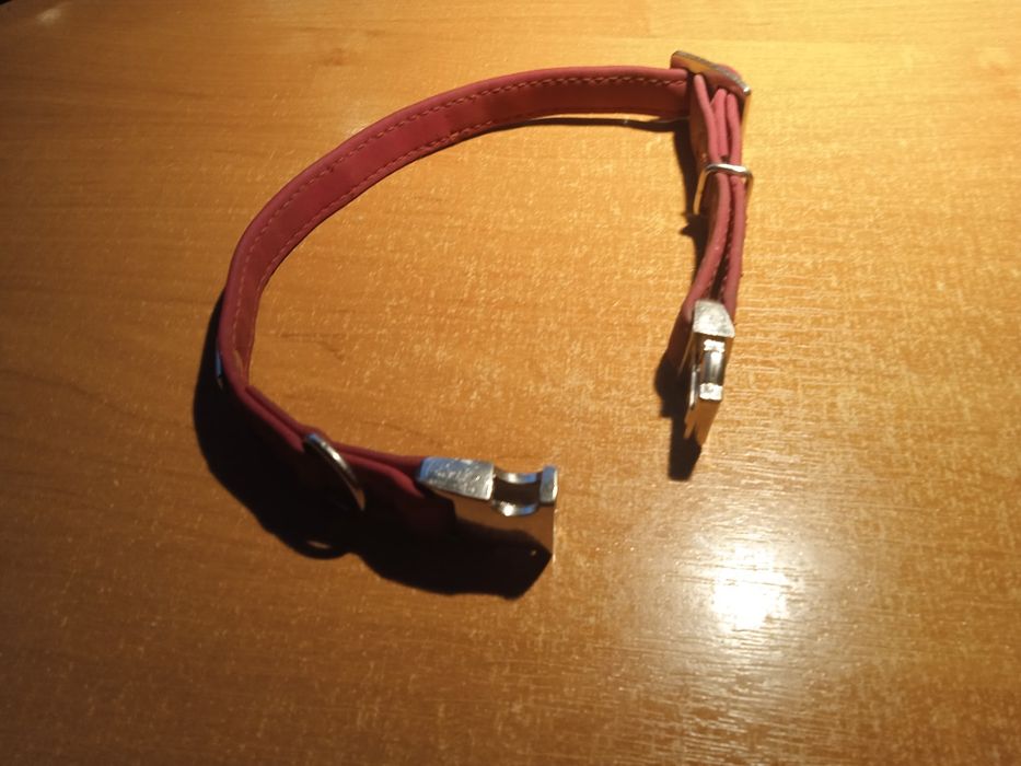 Нашийник для собак Hunter