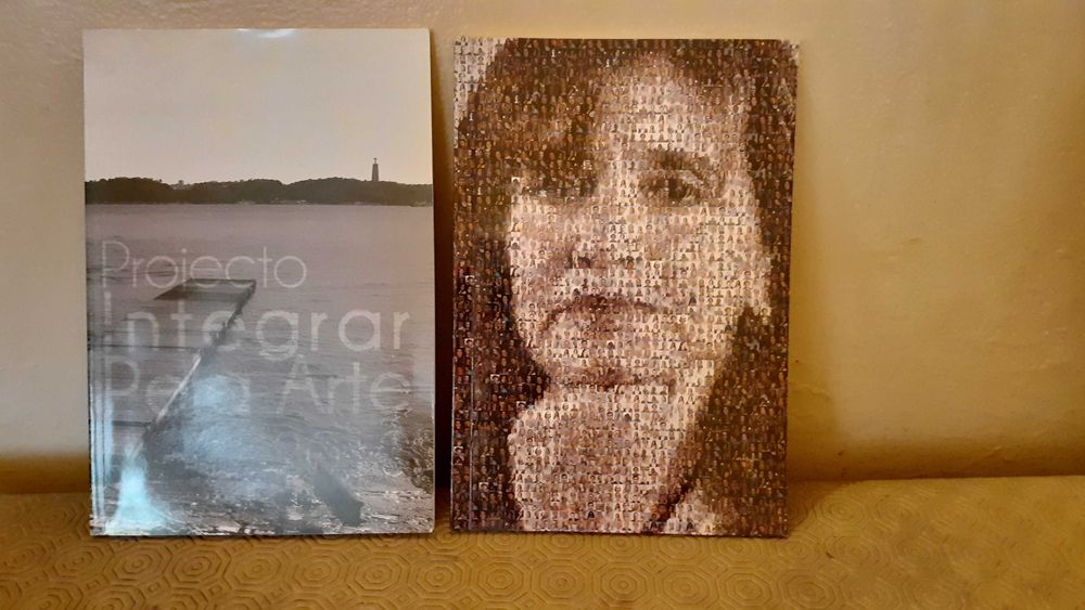 Projecto Integrar Pela Arte 2010 - Quem é Maria João Valente Rosa?