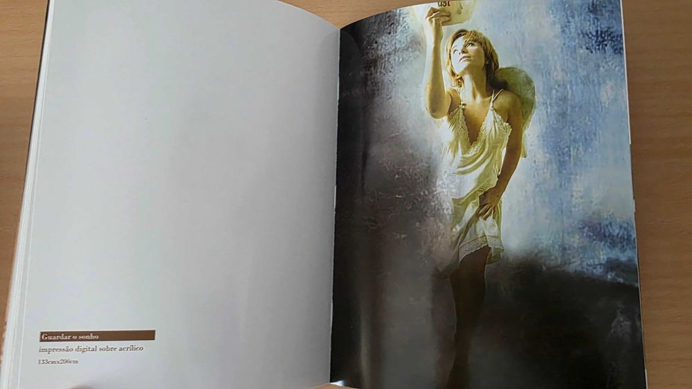 Livro  "Pensar Babel" de Ângela Mendes Ferreira