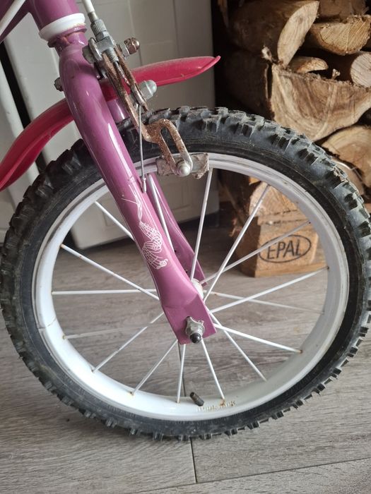 Bicicleta menina