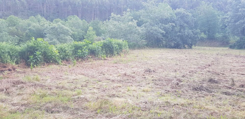 Terreno/6000m2/ Parte dele com licença de construção